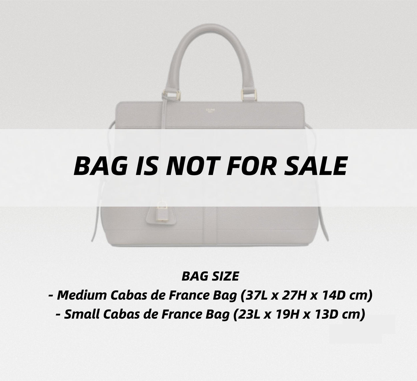 Bag Organizer For Cabas de France Bag | Bag Insert For Tote Bag | Felt Bag Organizer For Handbag Bag