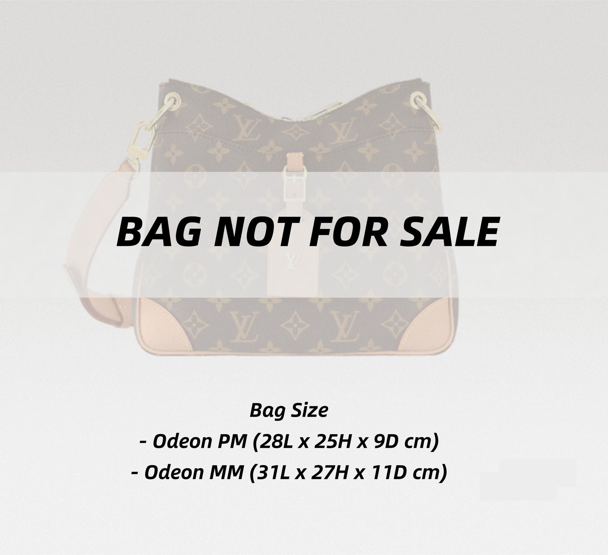 Bag Organizer For Odeon PM MM Bag, Bag Insert For Shoulder Bag