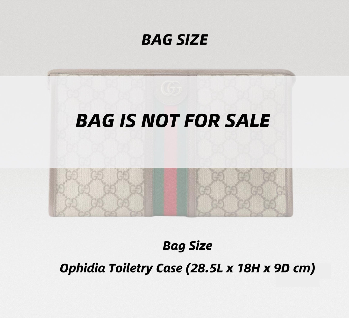 Ophidia Toiletry Case Insert Conversion Kit with chain | Toiletry Pouch Insert to Convert CrossBody | Toiletry Pouch with D-ring