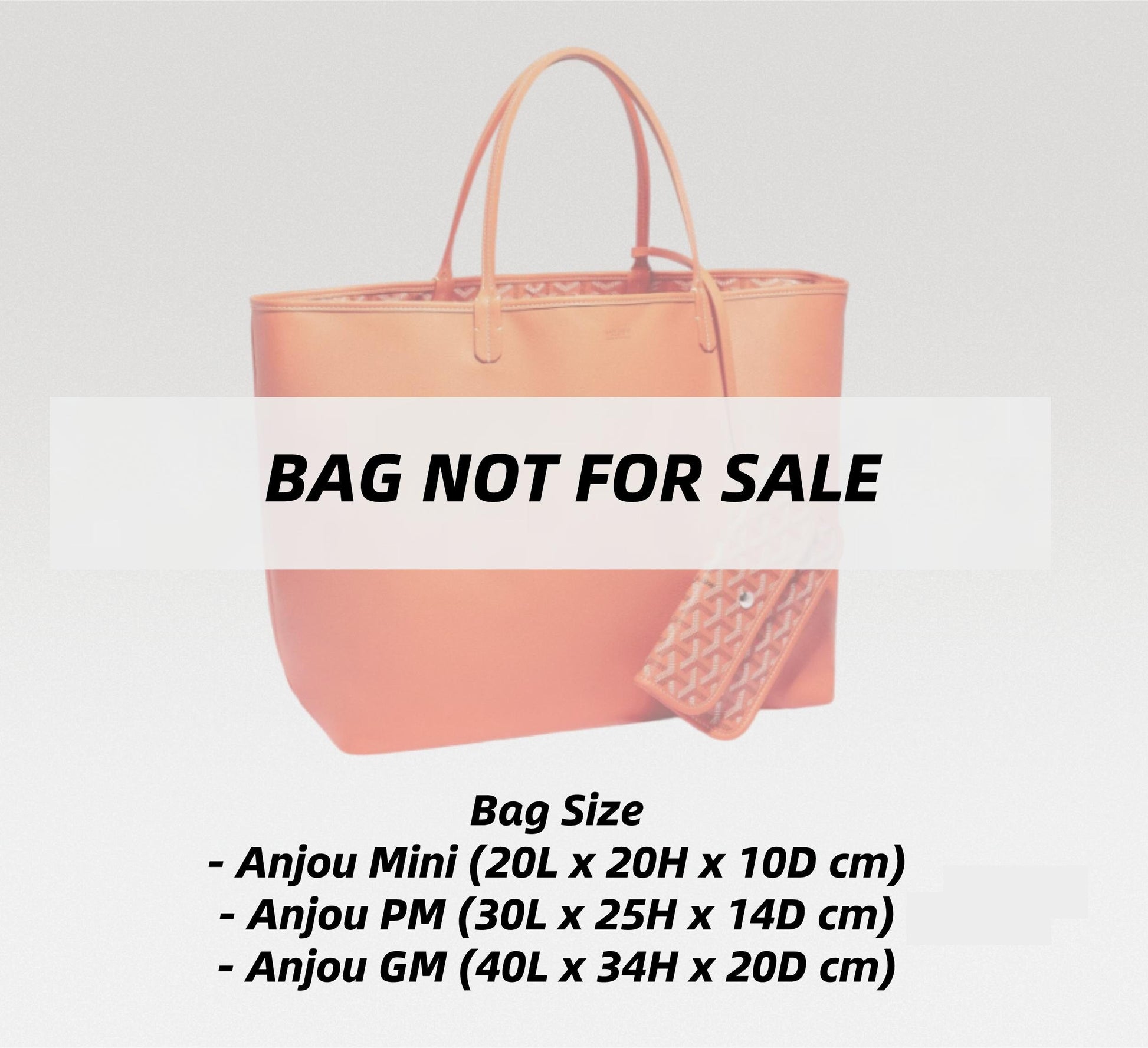 Mini Anjou Bag Organizer, Bag Organizer Insert Gm
