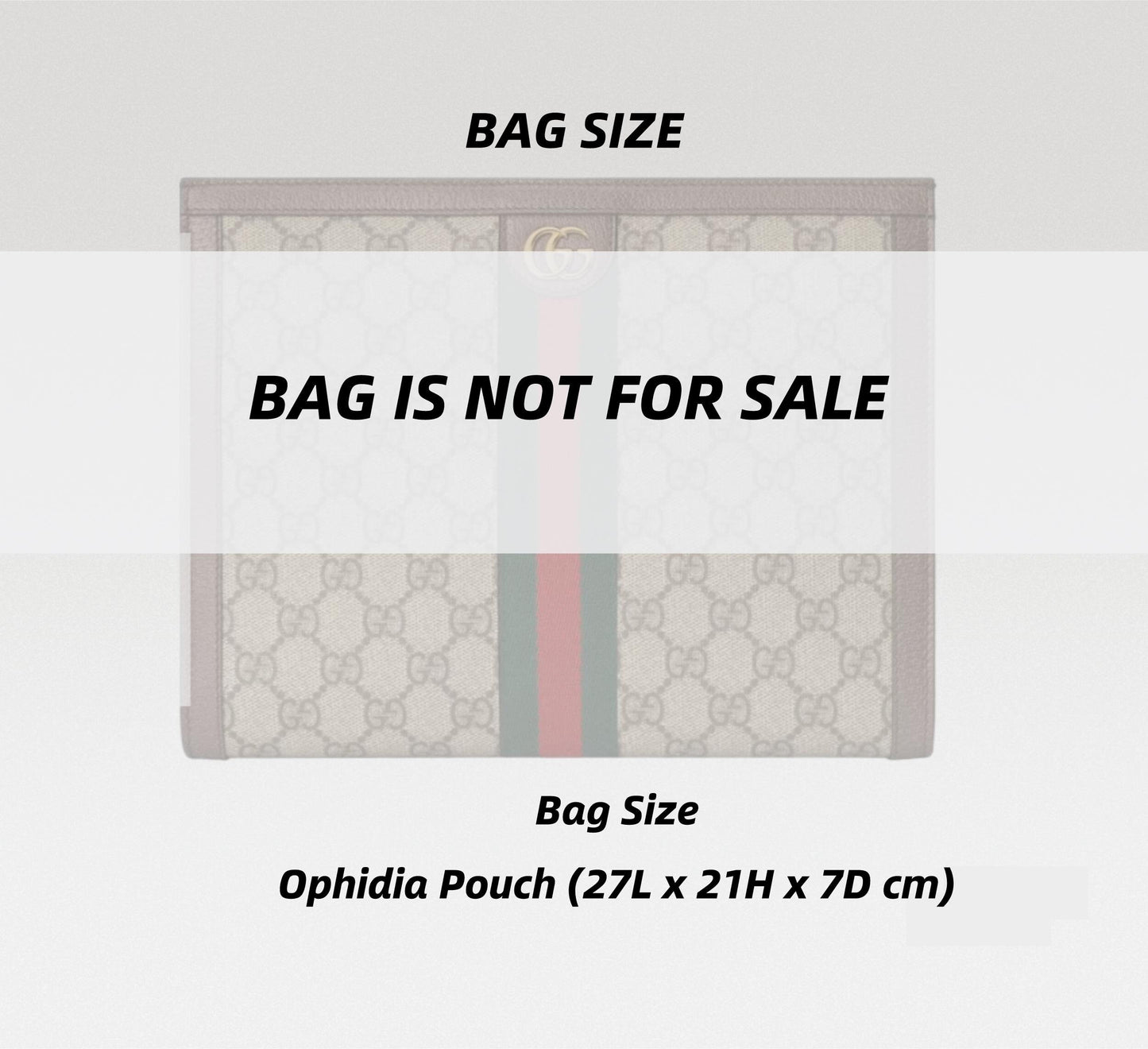 Ophidia Pouch Insert Conversion Kit with chain | Toiletry Pouch Insert to Convert Cross Body | Toiletry Pouch Organizer with D-ring