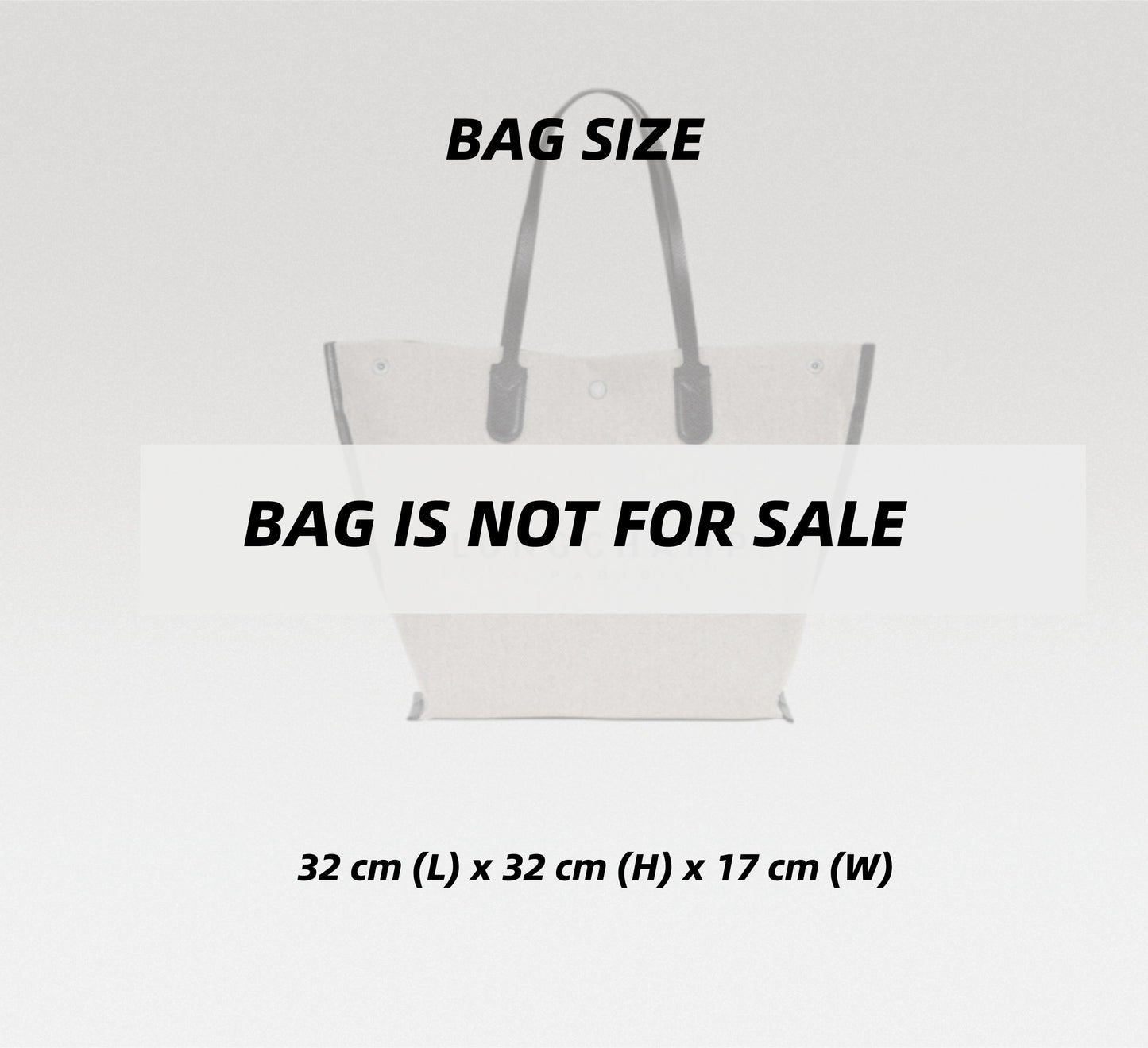Bag Organizer For ROSEAU Tote bag Large  | Bag Insert For Tote Bag | Felt Bag Organizer For Designer Bag